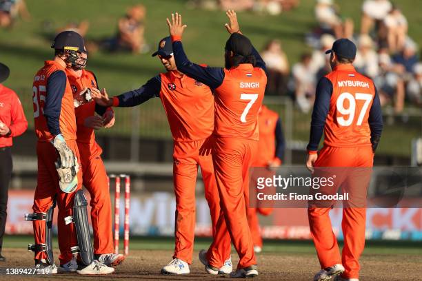 The Netherlands take the wicket of Michael Bracewell of New Zealand during the third and final one-day international cricket match between the New...