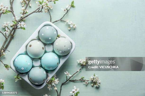 blue dotted easter eggs in container holder with cherry blossom branches on light blue background - easter egg pattern stock pictures, royalty-free photos & images