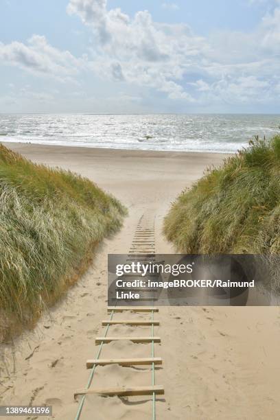 dune landscape with sandy footpath to the sea in summer, argab, hvide sande, ringkobing fjord, north sea, midtjylland, central jutland, denmark - hvide sande denmark stock pictures, royalty-free photos & images