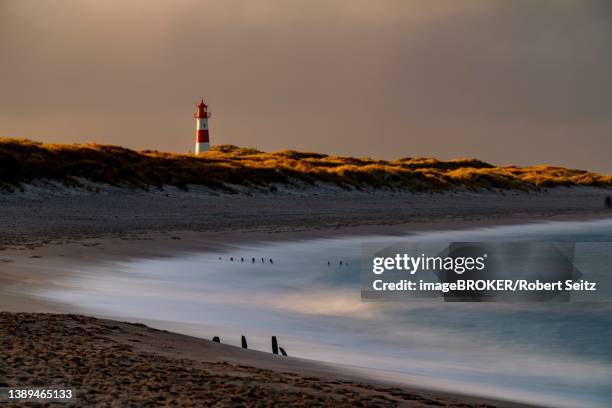 north sea coast with list-ost lighthouse, ellenbogen, list, sylt island, germany - sylt stock-fotos und bilder