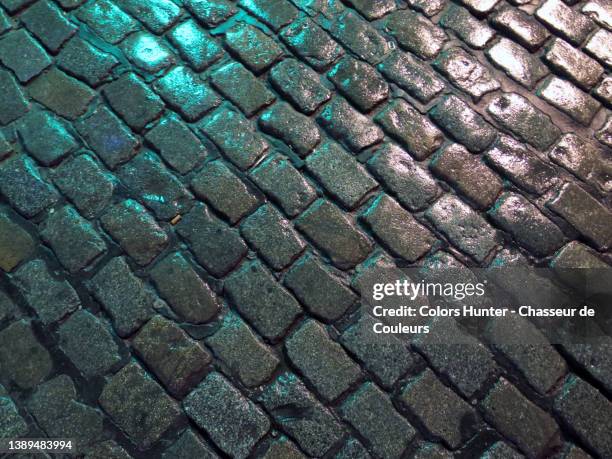 empty wet cobblestones of a street illuminated by urban lights in brussels - kassei stockfoto's en -beelden