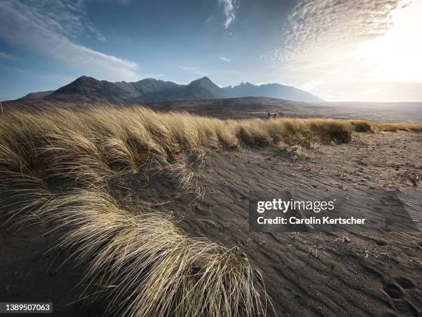 wild beach with dune grass, black sand and mountain backdrop at glenbrittle beach | isle of skye - scotland weather stock pictures, royalty-free photos & images