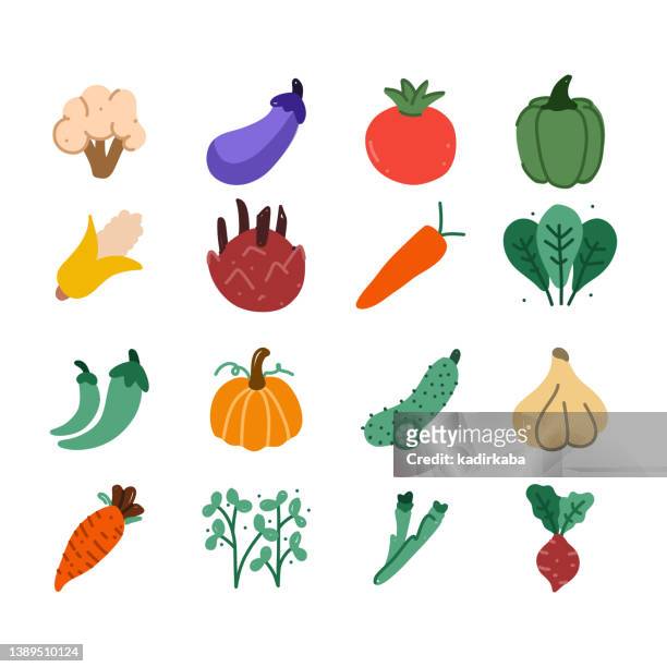 ilustraciones, imágenes clip art, dibujos animados e iconos de stock de conjunto de iconos de verduras. diseño de garabatos dibujados a mano - fennel