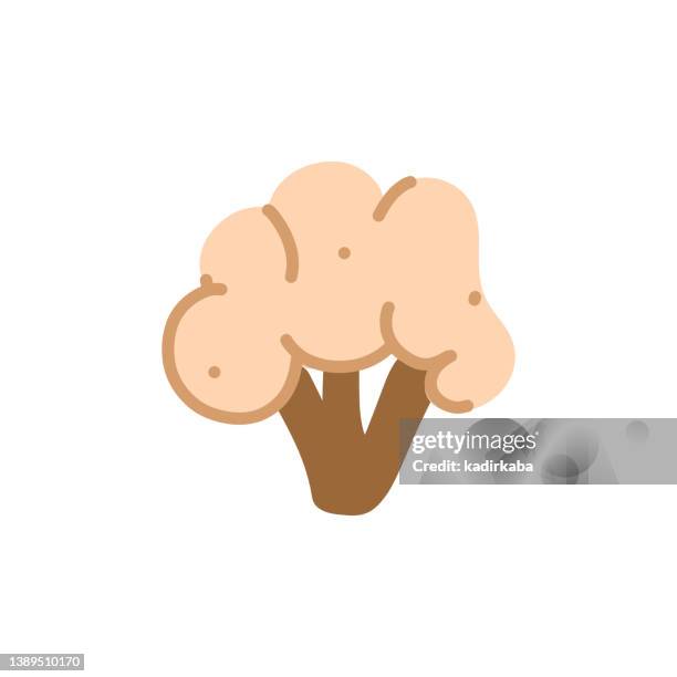 broccoli hand drawn doodle design - broccoli field stock illustrations
