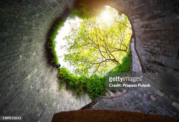 fort canning park, singapore - fort canning stock pictures, royalty-free photos & images