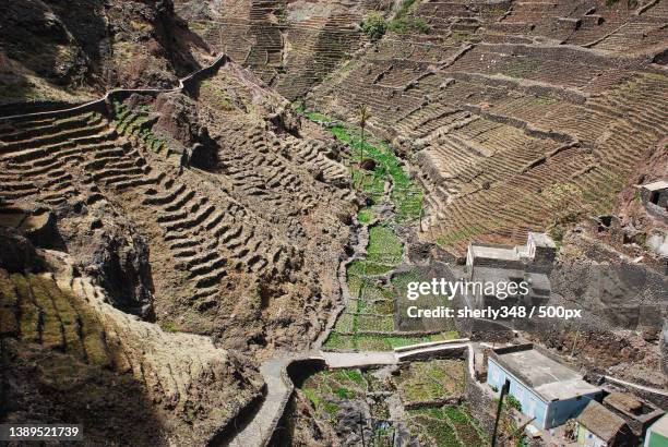 free of care,high angle view of agricultural field,cape verde - ancient civilisation inca stock pictures, royalty-free photos & images