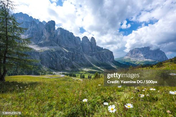 dolomites pastoral alpine landscape south tyrol,italy,scenic view of grassy field against cloudy sky,selva di val gardena,bolzano - selva alto adige stock pictures, royalty-free photos & images