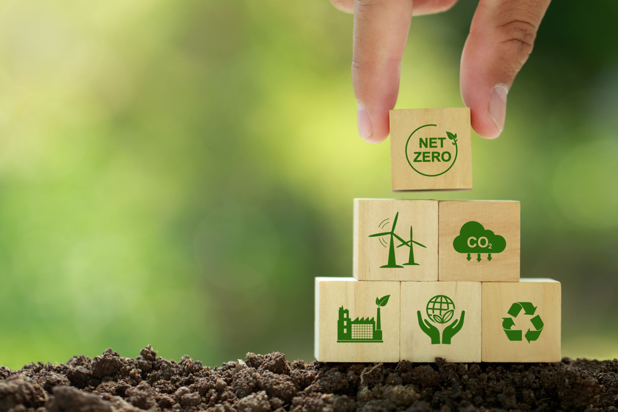 carbon markets