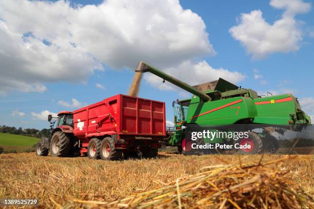 harvesting in field with tractor, trailer and harvester - lincoln lincolnshire stockfoto's en -beelden