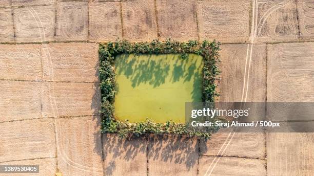 directly above aerial shot of green land amidst dry field,nepal - nepal drone stock pictures, royalty-free photos & images