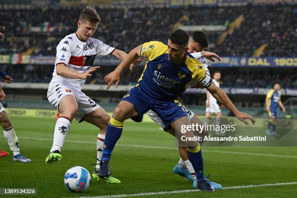 Morten Frendrup of Genoa CFC competes for the ball with Davide Faraoni of Hellas Verona during the Serie A match between Hellas and Genoa CFC at...