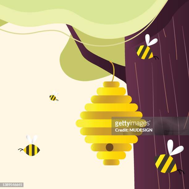 beehive of wild bees hanging on a branch. - honey bee stock illustrations