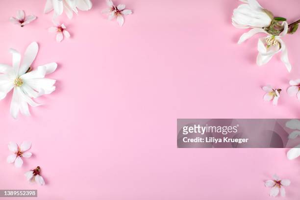 pink background with magnolia flowers, copy space. - flatlay flowers fotografías e imágenes de stock
