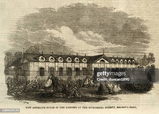 ロンドン動物園のアンテロープハウス、リージェンツパーク、1860年代19世紀 - リージェンツパーク点のイラスト素材／クリップアート素材／マンガ素材／アイコン素材