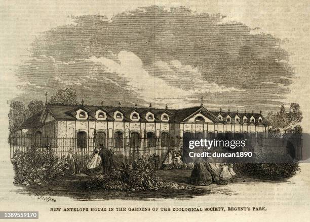 antelope house at london zoo, regent's park, 1860s 19th century - london zoo stock illustrations