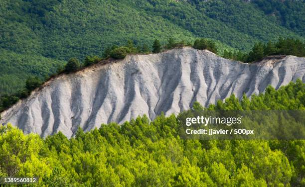 scenic view of forest - gesso roccia foto e immagini stock