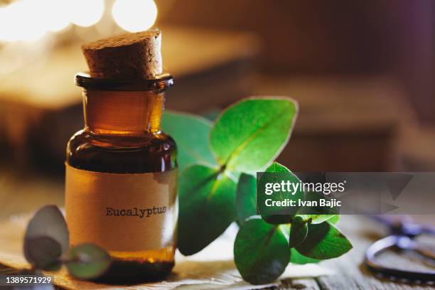 eucalyptus essential oil - aromatherapy oil stock pictures, royalty-free photos & images