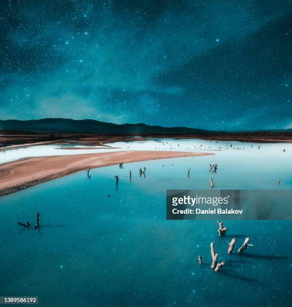 drought with tree trunks in a lake under the stars. - climate change aerial stock pictures, royalty-free photos & images