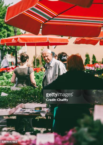 daily life in zagreb - dolac market - zagreb food stock pictures, royalty-free photos & images