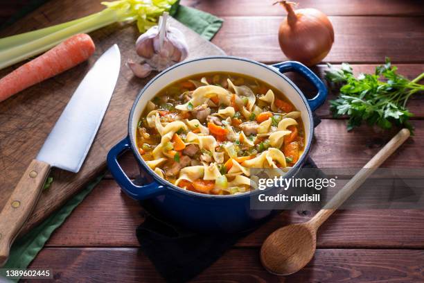 sopa de pollo con fideos - sopa de pollo con fideos fotografías e imágenes de stock