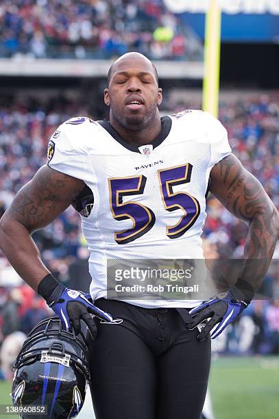 Outside linebacker Terrell Suggs of the Baltimore Ravens looks on during the AFC Championship Game against the New England Patriots at Gillette...