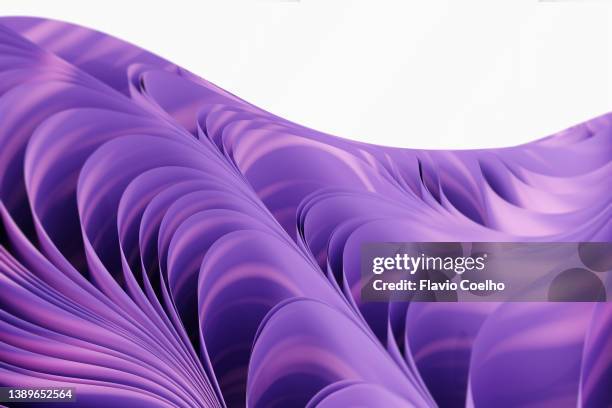 purple curves abstract background - flieder stock-fotos und bilder