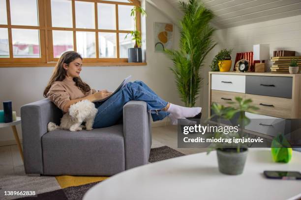 caucasian teenage girl drawing while sitting on the sofa with her maltese puppy - dog pad stock pictures, royalty-free photos & images