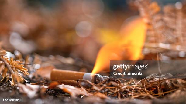 burning cigarette butt on ground - stubs stock pictures, royalty-free photos & images