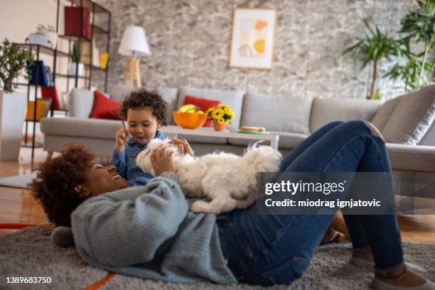 mother and son playing with maltese dog in the living room - family with pet stock pictures, royalty-free photos & images