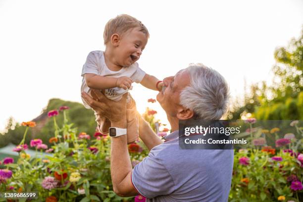 grandfather playing with his toddler grandson in the yard - baby carrier outside bildbanksfoton och bilder