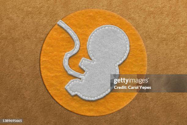 human abdomen with fetus inside.conceptual image made of felt - human reproductive organ stock pictures, royalty-free photos & images