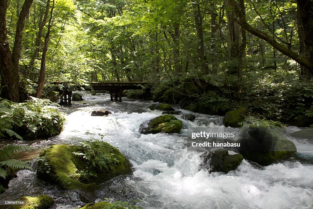 Stream