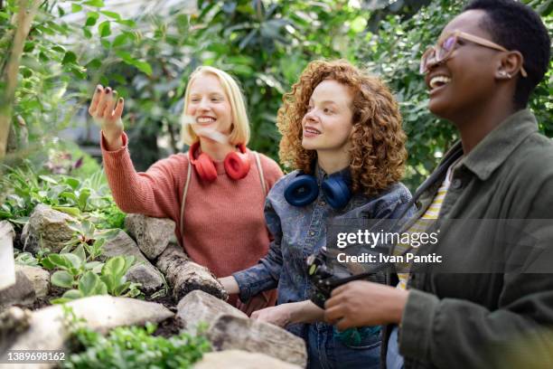 pequeno grupo diversificado de mulheres visitando uma estufa local na cidade - jardim botânico - fotografias e filmes do acervo