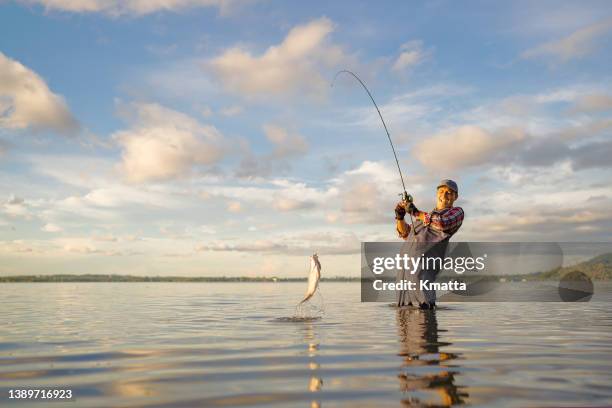 a fisherman landing a fish in the river. - fisherman foto e immagini stock