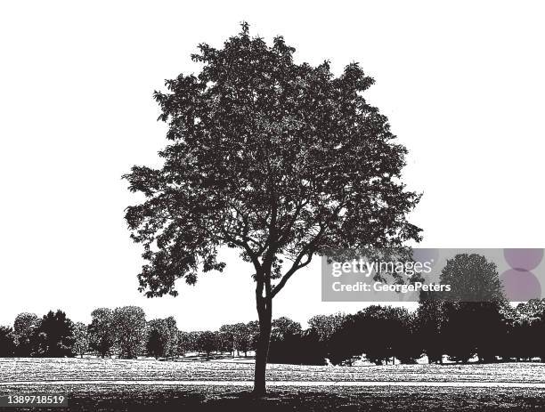61点の樹木外科専門家イラスト素材 Getty Images 61点の樹木外科専門家イラスト素材 Getty Images