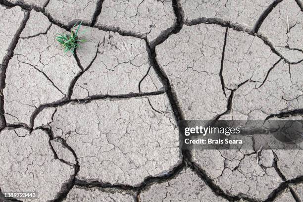 cracked earth from dry reservoir bed - öde landschaft stock-fotos und bilder