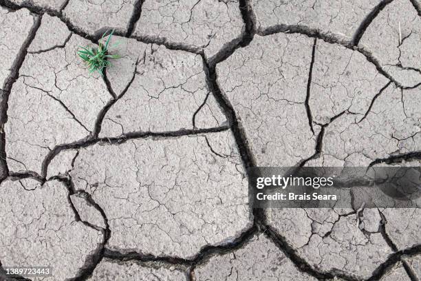cracked earth from dry reservoir bed - terra brulla foto e immagini stock