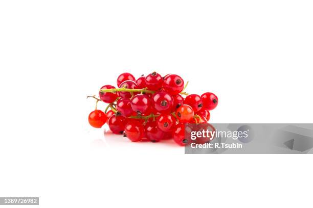 red currant berries isolated on a white background - grosella fotografías e imágenes de stock