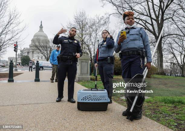 Officers with the Humane Rescue Alliance Animal Care and Control talk to a Capitol Hill Police Officer as they attempt to locate a fox on the grounds...