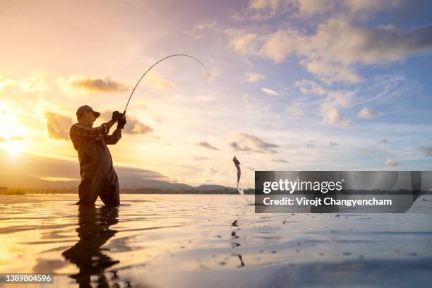 man fly fishing in the lake - alleen één seniore man stockfoto's en -beelden