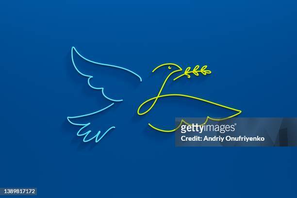 peace - dove stock pictures, royalty-free photos & images