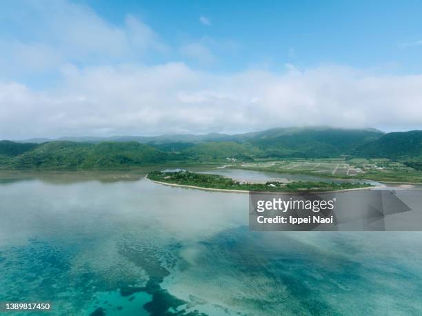 aerial view of tropical island, iriomote, okinawa, japan - île d'iriomote photos et images de collection
