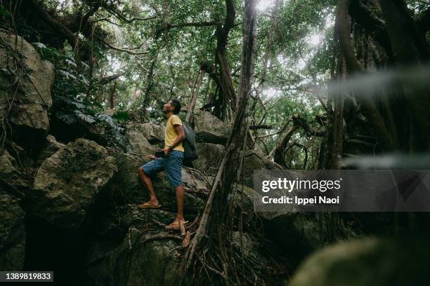 man standing on boulder in jungle - insel iriomote stock-fotos und bilder