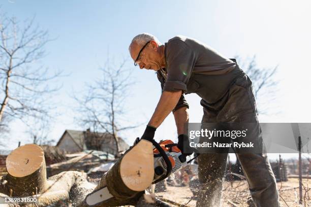 man with chainsaw cutting the tree - skogshuggare bildbanksfoton och bilder