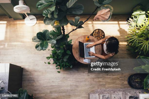 anonymous asian businesswoman writing a report on her laptop - wide angle imagens e fotografias de stock