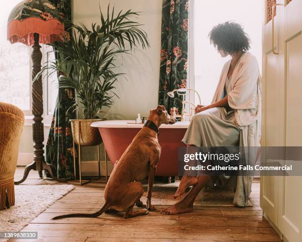 a beautiful woman perches on the side of a luxurious roll top bath while she fills it as her lurcher dog watches on - chantiers stock-fotos und bilder