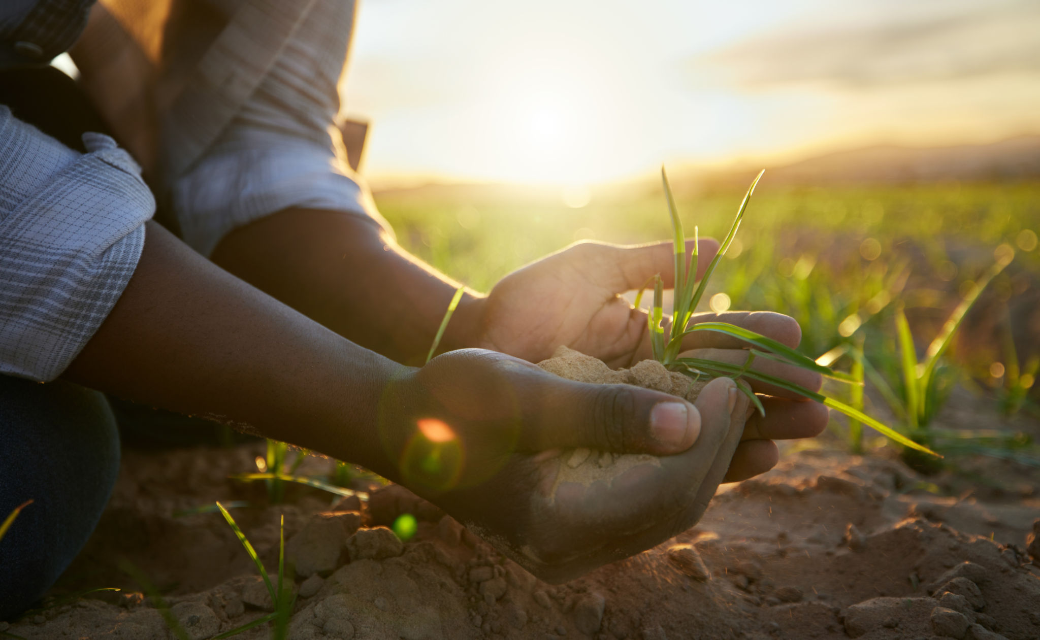 sustainable farming Africa