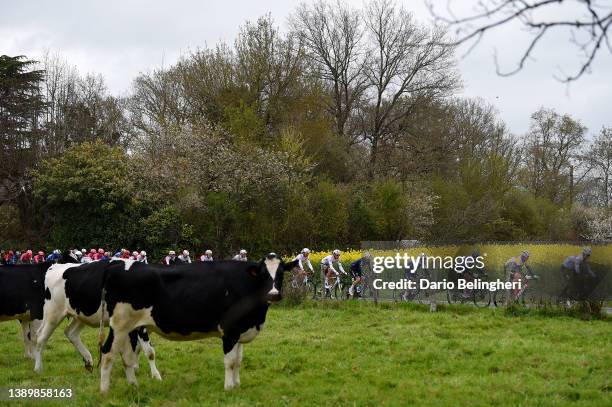 General view of Mads Pedersen of Denmark and Team Trek - Segafredo Yellow Leader Jersey and the peloton passing through a landscape during the 68th...