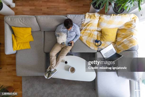 caucasian man petting his maltese dog, while using mobile phone - coffee table stock pictures, royalty-free photos & images