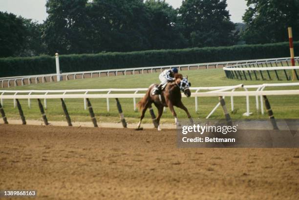 Canadian jockey Ron Turcotte riding American thoroughbred Secretariat , in blue- and white-checkered blinders, to victory in the Belmont Stakes at...